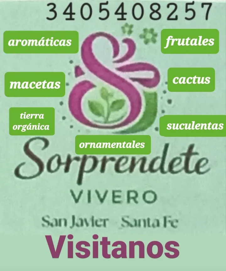 Vivero  Sorprendete