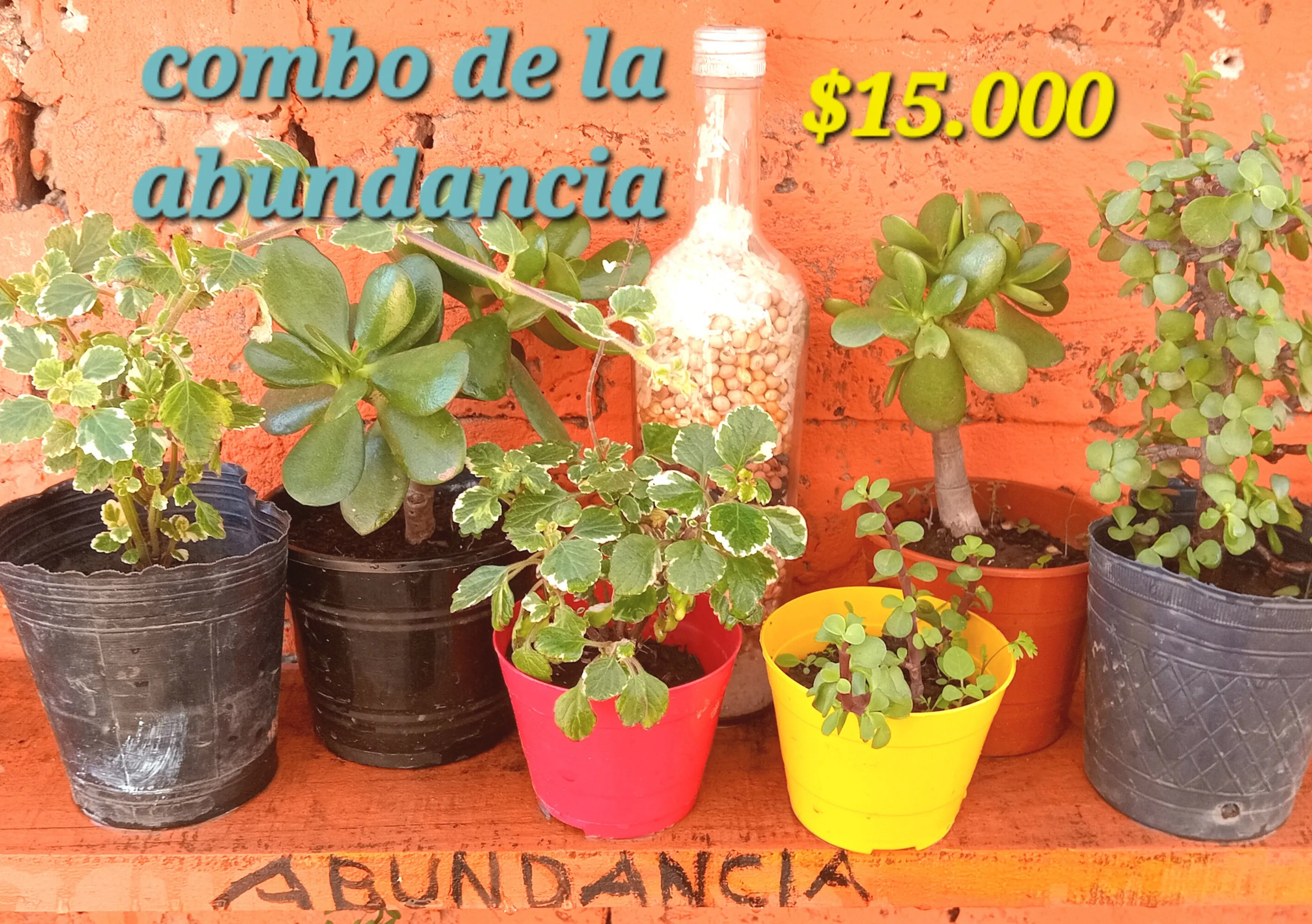 Arte en el vivero