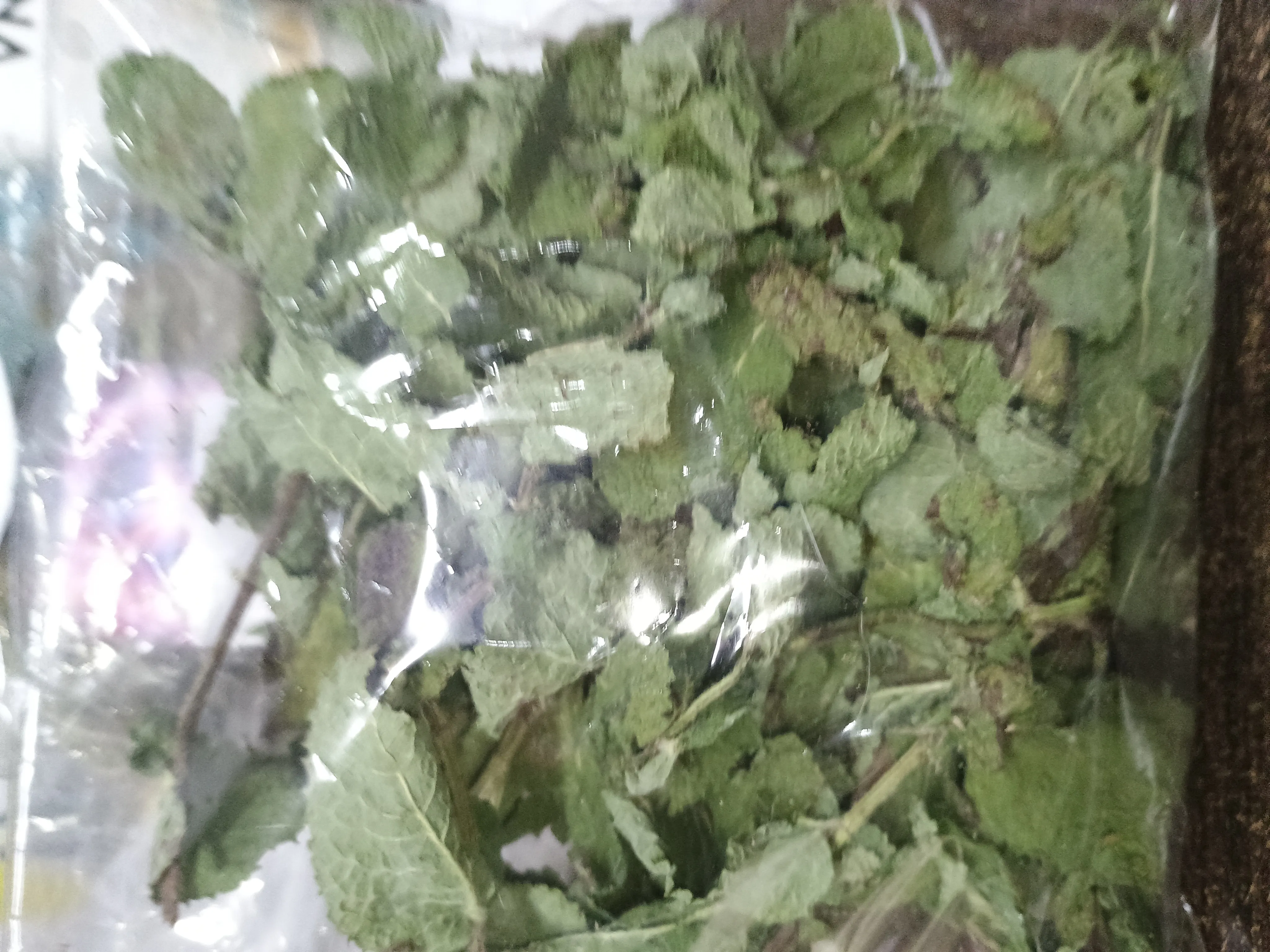 Fitoterapia